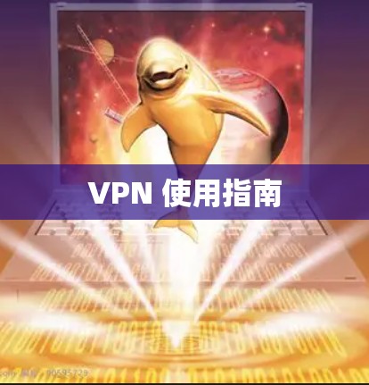 VPN 使用指南