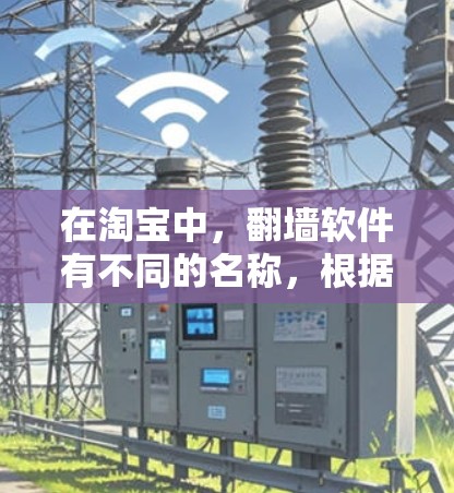 在淘宝中，翻墙软件有不同的名称，根据需求和预算选择合适的软件。以下是几种常见的翻墙软件和工具名称