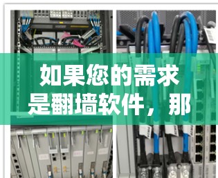 如果您的需求是翻墙软件，那么以下是一些常见的选择，每个软件都有其特定的功能和适用场景