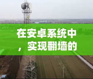 在安卓系统中，实现翻墙的常见工具和软件包括以下几种