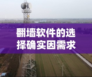 翻墙软件的选择确实因需求而异，但有一些比较好的推荐，特别是在考虑价格和功能时