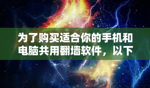 为了购买适合你的手机和电脑共用翻墙软件，以下是详细的建议和选择过程