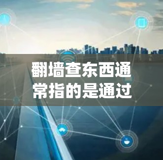 翻墙查东西通常指的是通过翻墙工具获取特定信息，如IP地址、域名、网页内容等。以下是一些常用的爬虫软件和工具，可以帮助您翻墙后获取所需的信息