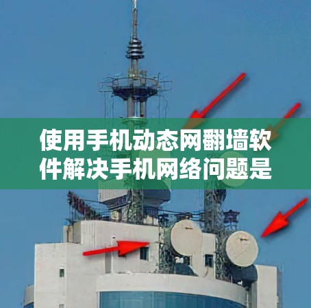 使用手机动态网翻墙软件解决手机网络问题是一个不错的选择，可以有效地访问网络资源。以下是一个详细且结构化的指南，帮助您有效地使用动态网翻墙软件