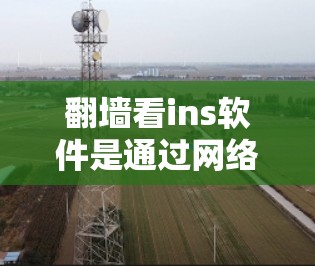 翻墙看ins软件是通过网络访问外部资源，然后使用特定软件进行操作或验证的一种技术。以下是详细的解释