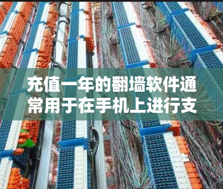 充值一年的翻墙软件通常用于在手机上进行支付和翻墙操作，用于兑换手机余额、支付其他设备或使用其他支付方式。以下是几种常见的充值一年的翻墙软件推荐
