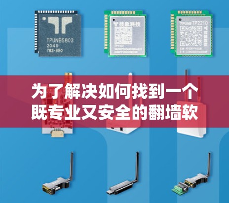 为了解决如何找到一个既专业又安全的翻墙软件来保护您的iOS系统，以下是一个有条理的解决方案