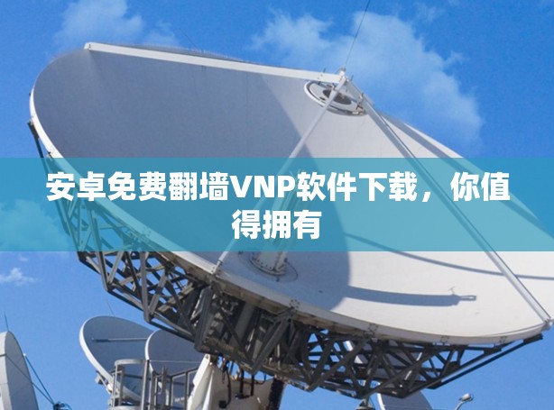 安卓免费翻墙VNP软件下载，你值得拥有
