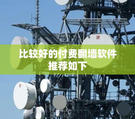 比较好的付费翻墙软件推荐如下