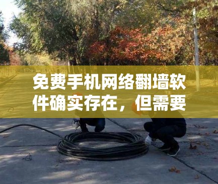 免费手机网络翻墙软件确实存在，但需要根据你的设备和需求来选择适合的工具。以下是一些常见的免费翻墙软件，它们提供了简单易用的网络访问功能
