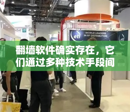 翻墙软件确实存在，它们通过多种技术手段间接让用户感觉像是在翻墙。以下是对这一现象的分点解释和总结
