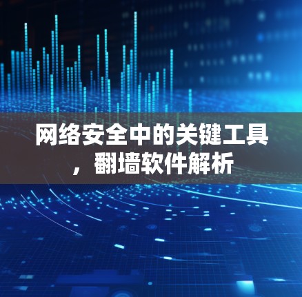 网络安全中的关键工具，翻墙软件解析
