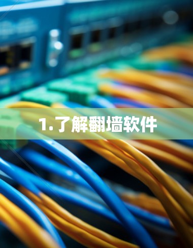 1.了解翻墙软件