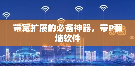 带宽扩展的必备神器，带P翻墙软件