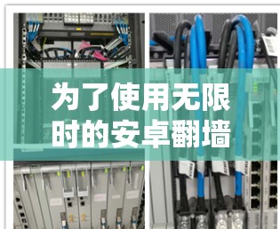 为了使用无限时的安卓翻墙软件，您可以按照以下步骤进行操作