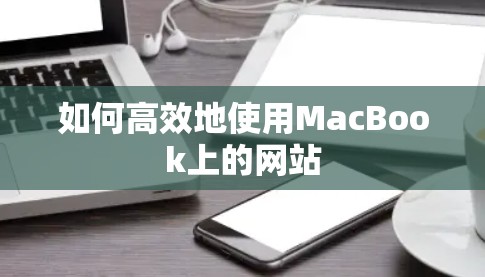 如何高效地使用MacBook上的网站