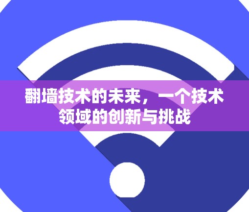 翻墙技术的未来，一个技术领域的创新与挑战