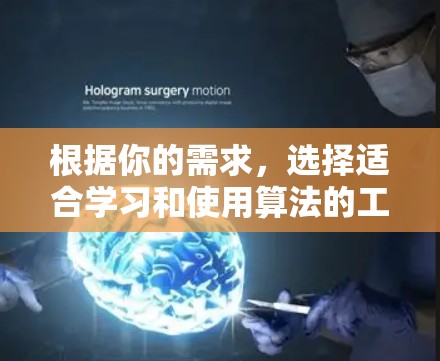 根据你的需求，选择适合学习和使用算法的工具，以下是一个详细的解决方案
