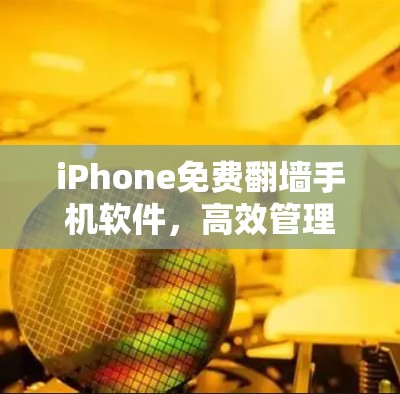 iPhone免费翻墙手机软件，高效管理广告，告别角落广告