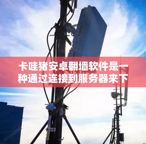 卡哇猪安卓翻墙软件是一种通过连接到服务器来下载安卓应用的软件包，允许手机用户下载本地安卓应用。以下是对该软件的详细分析和建议