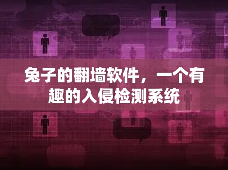 兔子的翻墙软件，一个有趣的入侵检测系统
