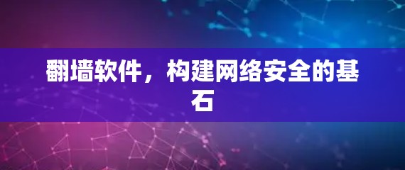 翻墙软件，构建网络安全的基石