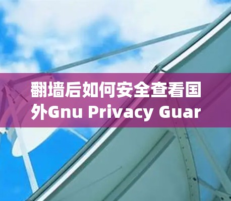 翻墙后如何安全查看国外Gnu Privacy Guard（gv）文件