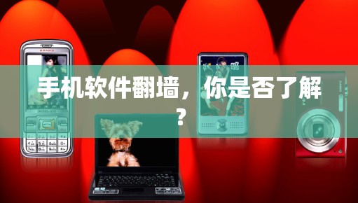 手机软件翻墙，你是否了解？