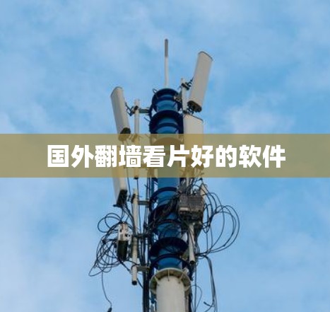 国外翻墙看片好的软件