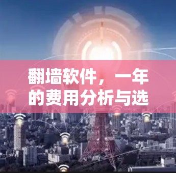 翻墙软件，一年的费用分析与选择指南