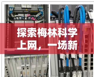 探索梅林科学上网，一场新的网络革命