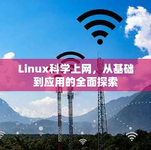 Linux科学上网，从基础到应用的全面探索