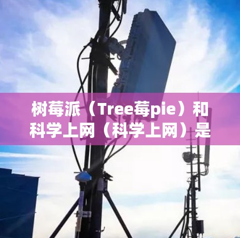 树莓派（Tree莓pie）和科学上网（科学上网）是两个不同的概念，可能在不同的上下文中有不同的含义。以下是对这两个概念的详细解释