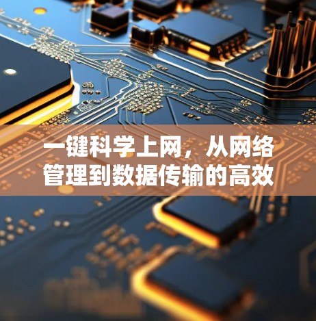 一键科学上网，从网络管理到数据传输的高效解决方案