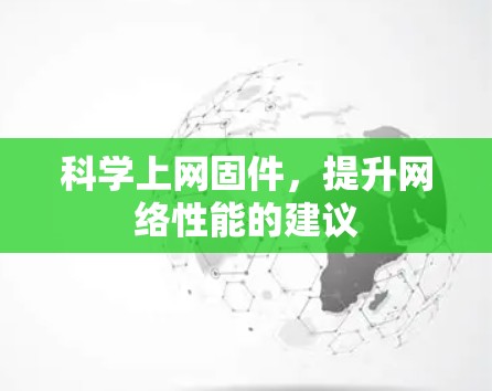 科学上网固件，提升网络性能的建议