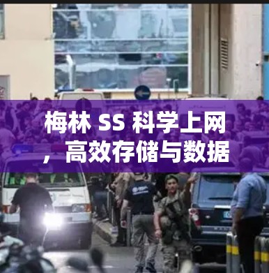 梅林 SS 科学上网，高效存储与数据解决方案