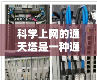 科学上网的通天塔是一种通过多个服务器组成的网络基础设施，能够连接到多个网站，提供高效、安全的通信通道。以下是关于科学上网通天塔的详细信息