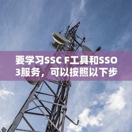 要学习SSC F工具和SSO3服务，可以按照以下步骤进行