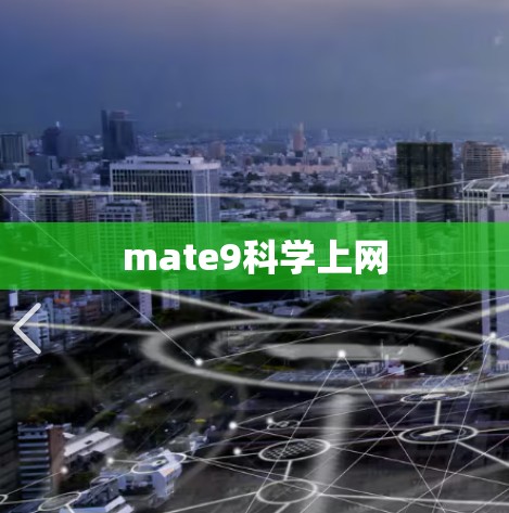 mate9科学上网