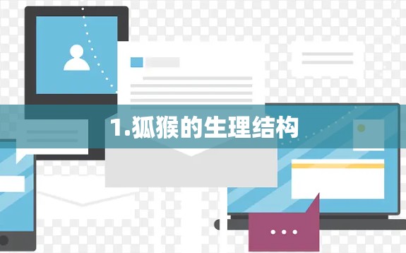 1.狐猴的生理结构