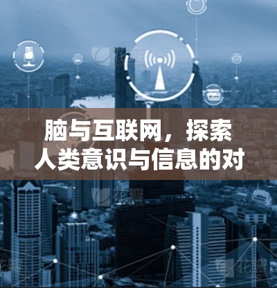 脑与互联网，探索人类意识与信息的对话