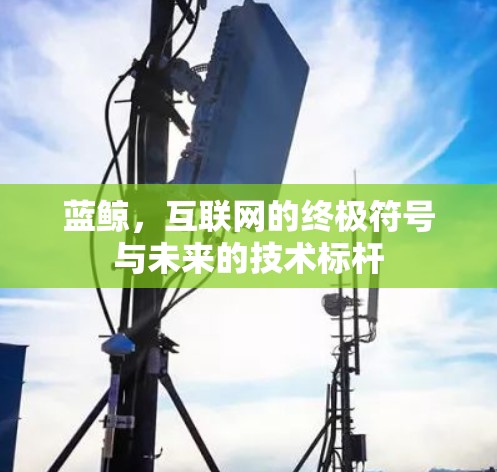 蓝鲸，互联网的终极符号与未来的技术标杆