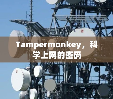 Tampermonkey，科学上网的密码