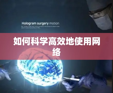 如何科学高效地使用网络