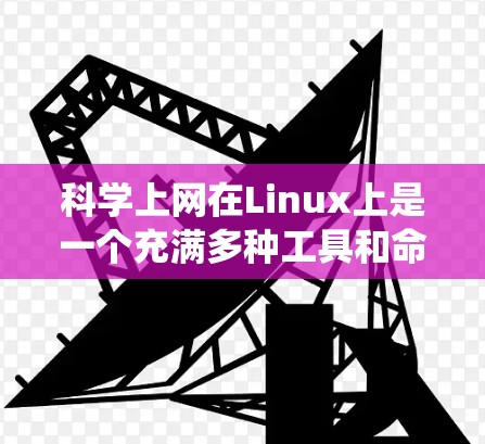 科学上网在Linux上是一个充满多种工具和命令行环境的领域，涵盖了计算器、编程环境、绘图工具、在线计算平台和在线资源等。以下是一个系统化的指南，帮助您系统地学习和掌握这些工具