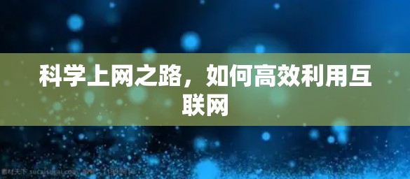 科学上网之路，如何高效利用互联网