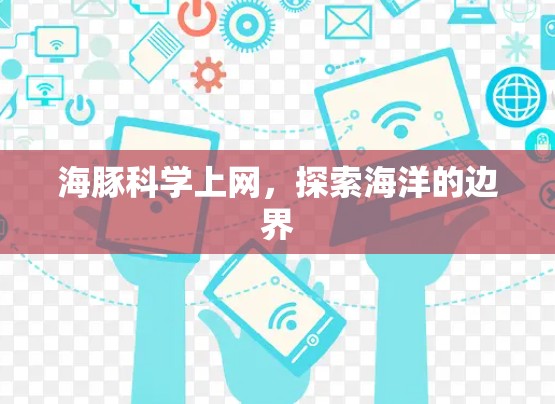 海豚科学上网，探索海洋的边界