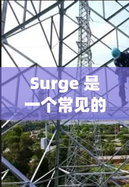 Surge 是一个常见的中文词汇，通常用来表示突然上升或急剧增长。在不同的上下文中，它的含义可能会有所不同