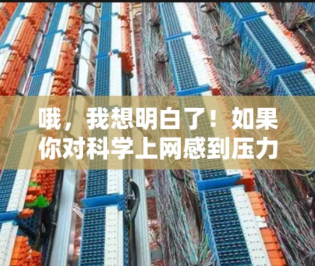 哦，我想明白了！如果你对科学上网感到压力或门槛，没关系，我可以帮你简化或避免不必要的科学上网。以下是一些建议，希望能帮助你更高效地使用科学工具