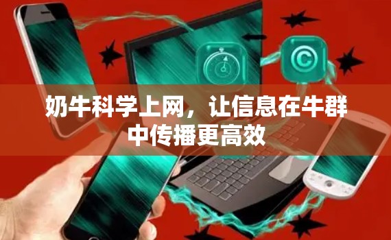 奶牛科学上网，让信息在牛群中传播更高效